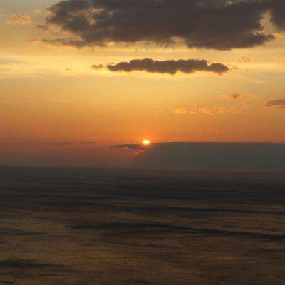 加拿大28下载手机版