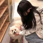 真人斗牛牛手机app下载截图